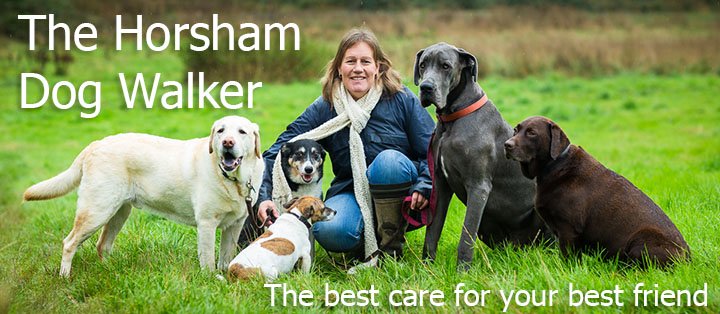 The Horsham Dog Walker